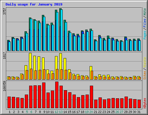 Daily usage for January 2019