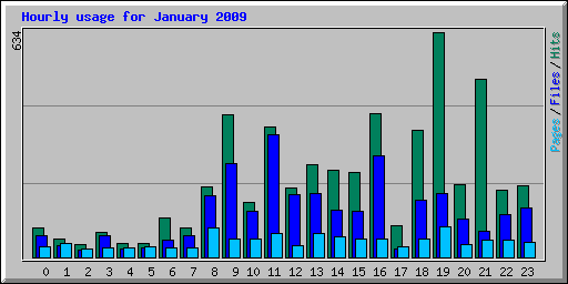 Hourly usage for January 2009