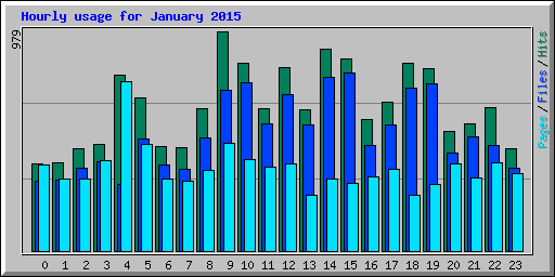 Hourly usage for January 2015