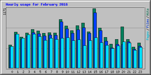 Hourly usage for February 2016