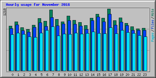 Hourly usage for November 2016