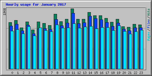 Hourly usage for January 2017