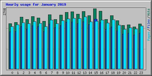 Hourly usage for January 2019
