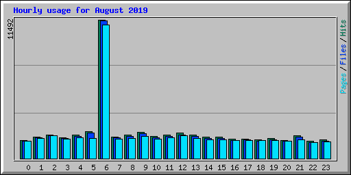 Hourly usage for August 2019