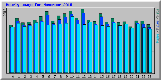 Hourly usage for November 2019