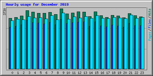 Hourly usage for December 2019