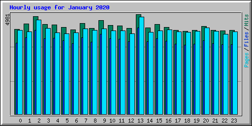 Hourly usage for January 2020
