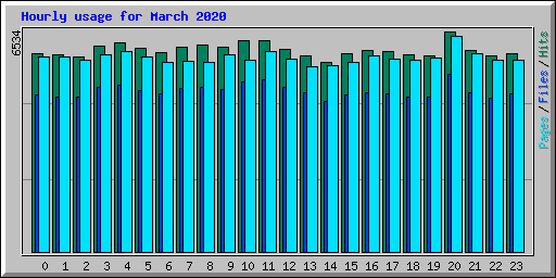 Hourly usage for March 2020